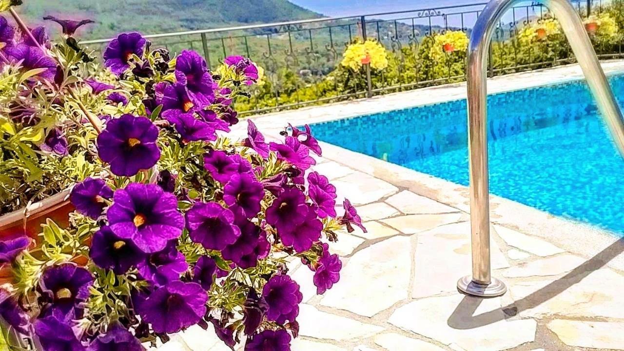 Apartmani Dumezic Bar Zimmer foto