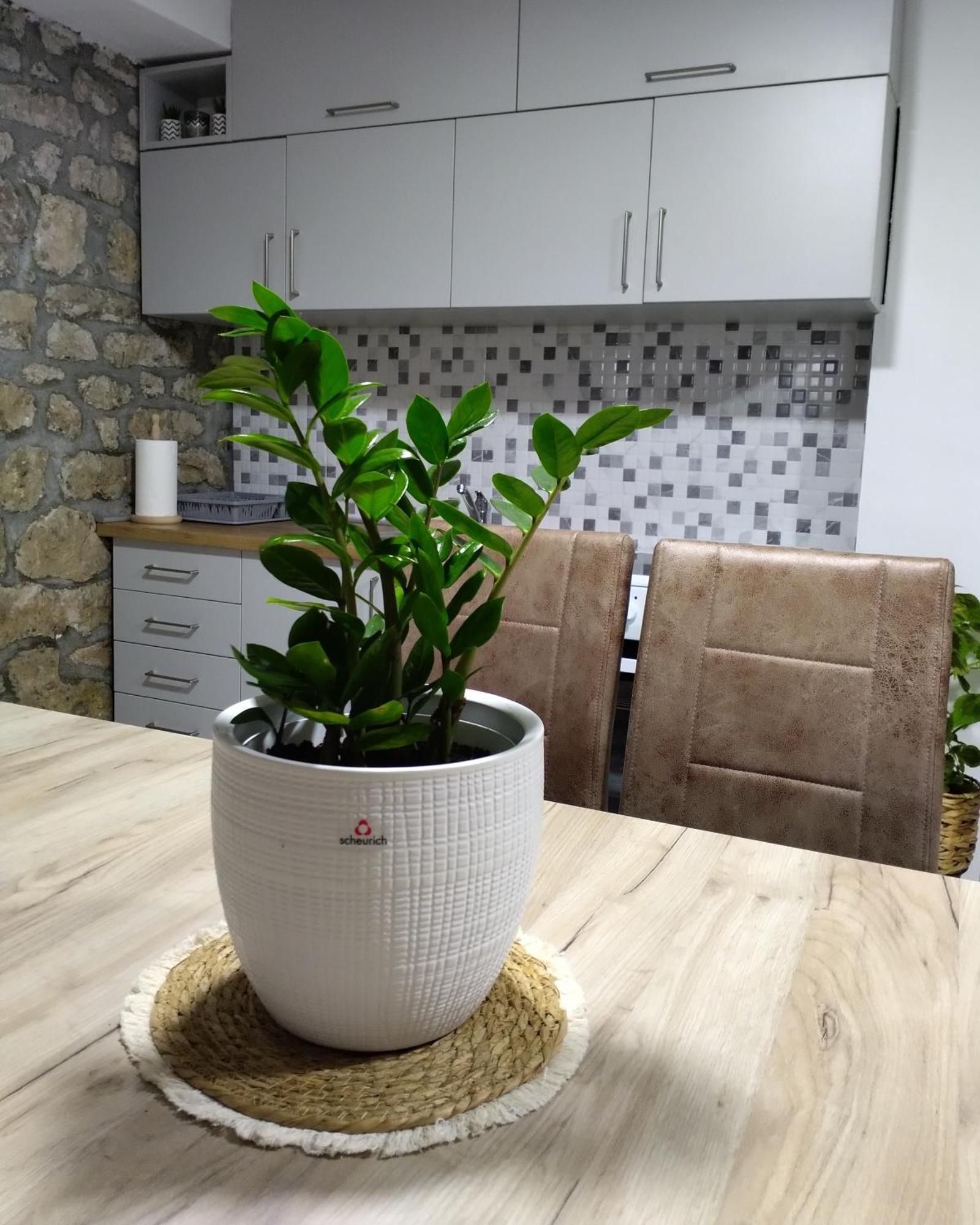 Apartmani Dumezic Bar Zimmer foto